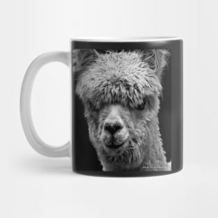 LLAMA Mug